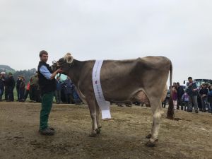 19 Miss Schwarzenberg 18